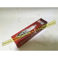 Champion  Spark Plug (1)    RS12YC6