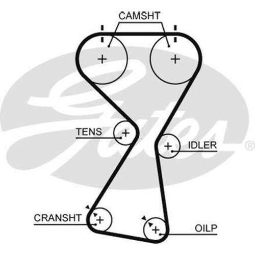 Gates Timing Belt T256