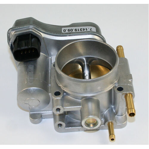Oem Throttle Body Assembly TB210N