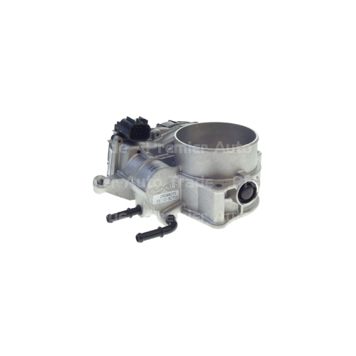 Pat Throttle Body TBO-109