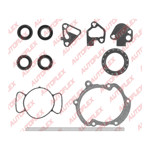 Timing Case Seal Set TCS50