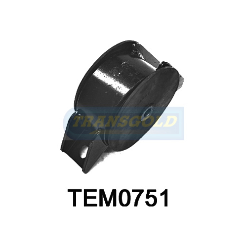 Transgold Rear Engine Mount TEM0751