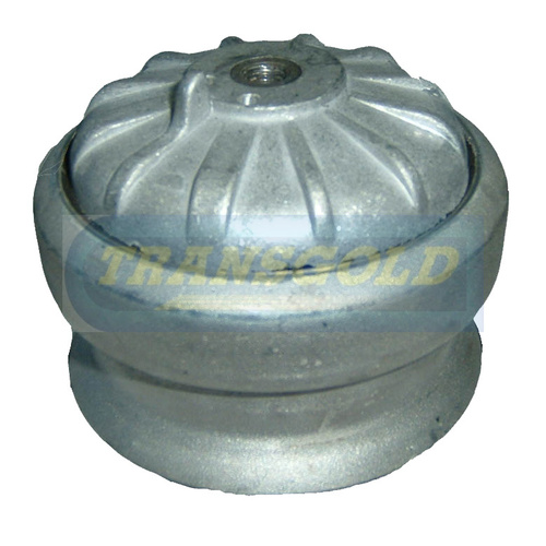 Transgold Front (either Side) Engine Mount TEM1593