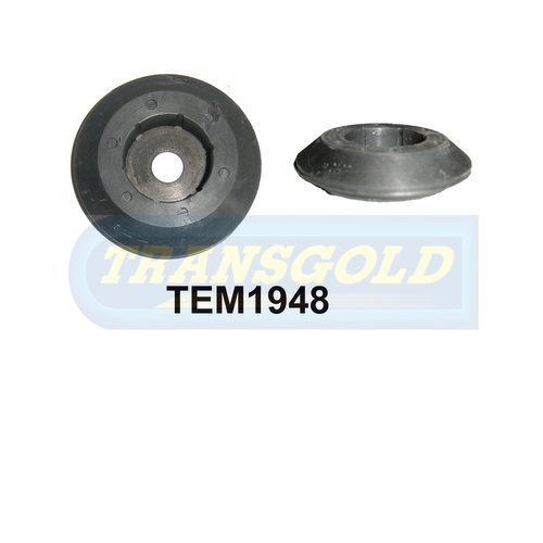 Transgold Front Lower Engine Mount - TEM1948
