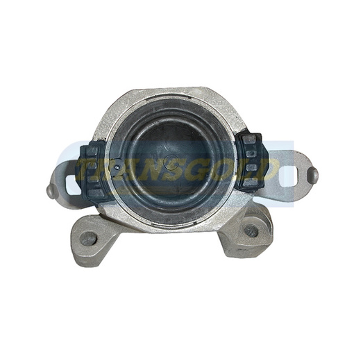 Transgold Right Engine Mount - TEM2942