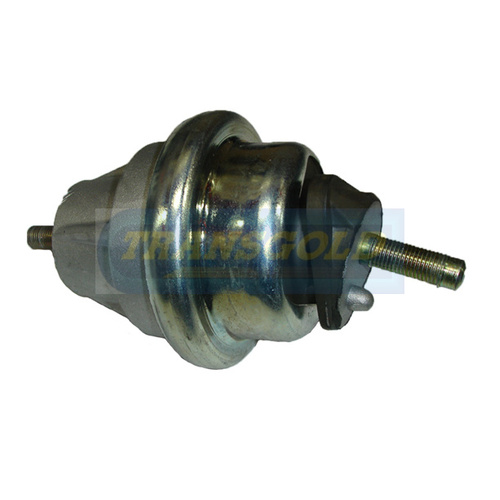 Transgold Front (either Side) Engine Mount TEM3153