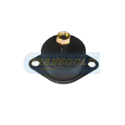 Transgold Engine Mount TEM3248