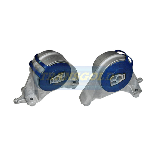 Transgold Front Engine Mount - TEM3395