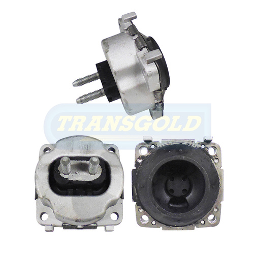 Transgold Rear Engine Mount TEM3609