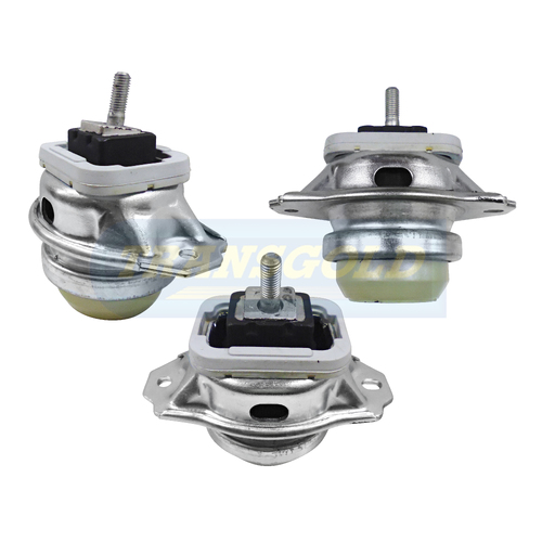 Transgold Front (either Side) Engine Mount TEM3844