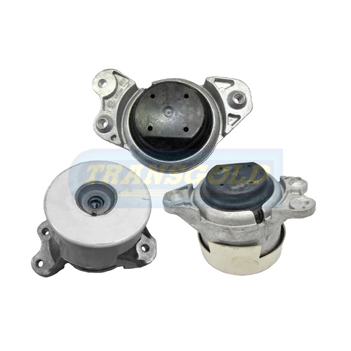 Transgold Engine Mount TEM3895