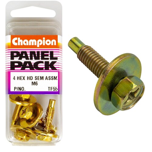 Champion Fasteners Pack Of 4 Hex Set Screws With Flat Washers - M6X25Mm 4PK TF55