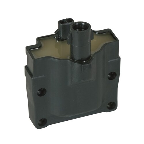 Tridon Ignition Coil (1) TIC021