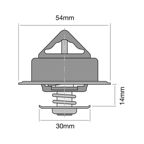 Tridon Thermostat Boxed TT216-192P