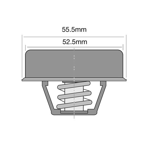 Tridon Thermostat TT238-160