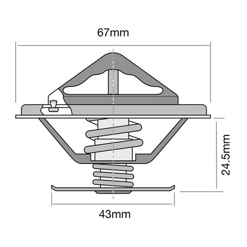 Tridon Thermostat (high Flow) TT248-195
