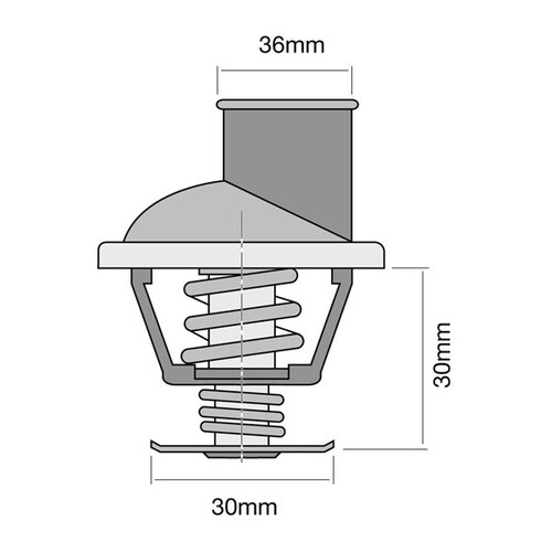 Tridon Thermostat (high Flow) TT283-195P