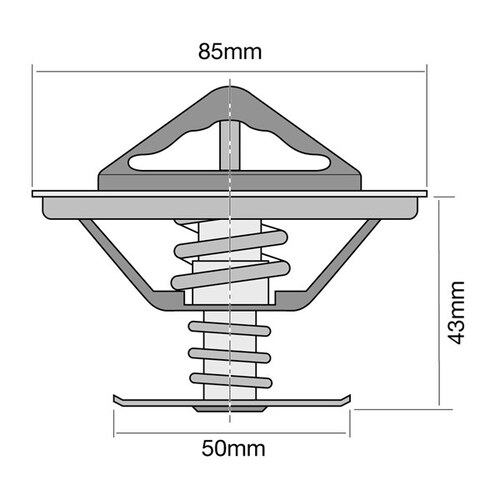 Tridon Thermostat TT289-160P