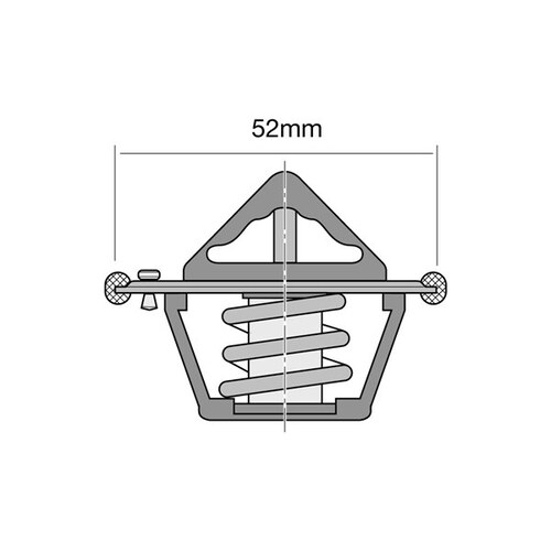 Tridon Thermostat TT333-198