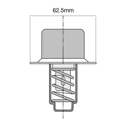 Tridon Thermostat TT405-174P