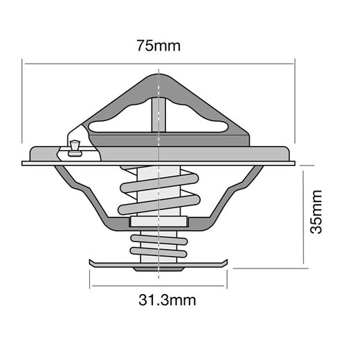 Tridon Thermostat TT8039-180P