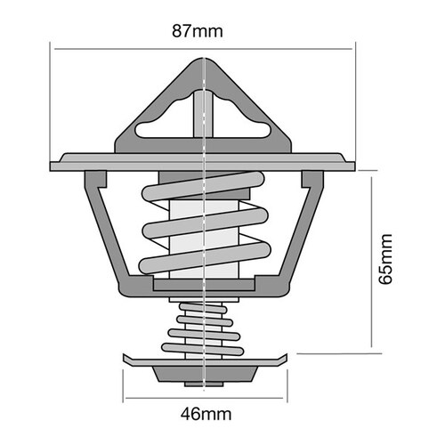Tridon Thermostat TT8085-170P