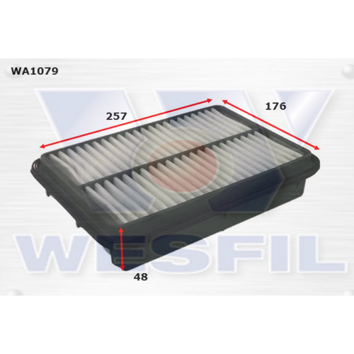 Wesfil Cooper Air Filter Wa1079 A1454