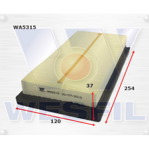 Wesfil Cooper Air Filter Wa5315 A1822