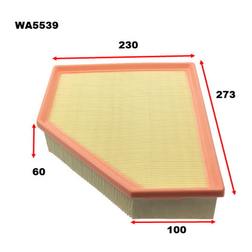 Wesfil Cooper Air Filter - Wa5539