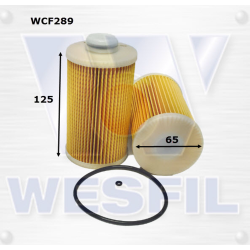 Wesfil Cooper Diesel Fuel Filter Wcf289 R2755P