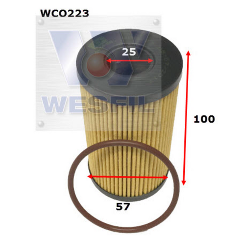 Wesfil Cooper Engine Oil Filter WCO223 R2858P