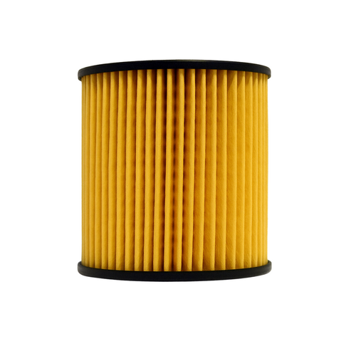 Wesfil Cooper Engine Oil Filter WCO93 R2673P