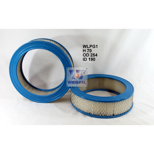 Wesfil Cooper Lp Gas Air Filter A31 Dodge/Mitsubishi WLPG1