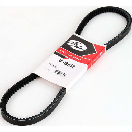 Gates Cogged V-Belt 13A0875