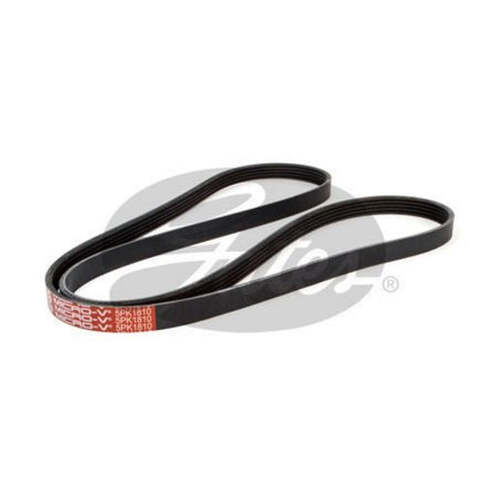 Gates Micro-V Ribbed Belt 5PK1810