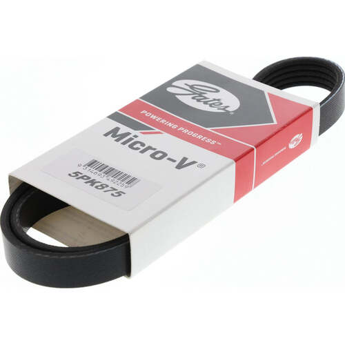 Gates Ribbed Belt 5PK875