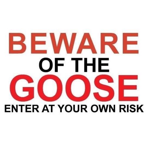 Metal Sign -" BEWARE OF THE GOOSE" 120mmx200mm