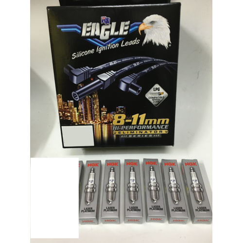 Eagle 10.5mm Ignition Leads & Ngk Iridium Spark Plugs E1056596BK-IGR5C13