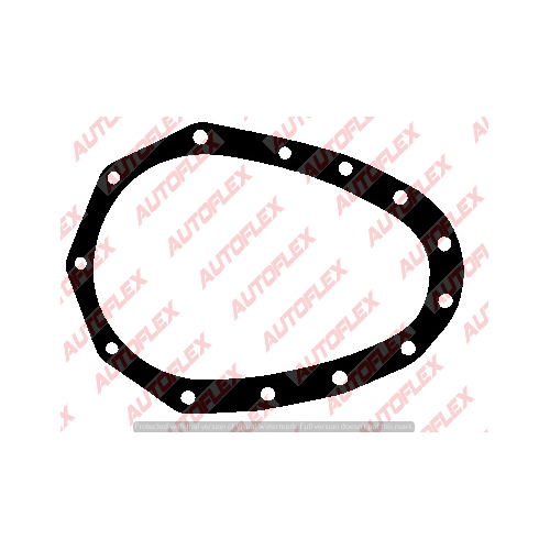   Timing Case Gasket    JR396 JR396