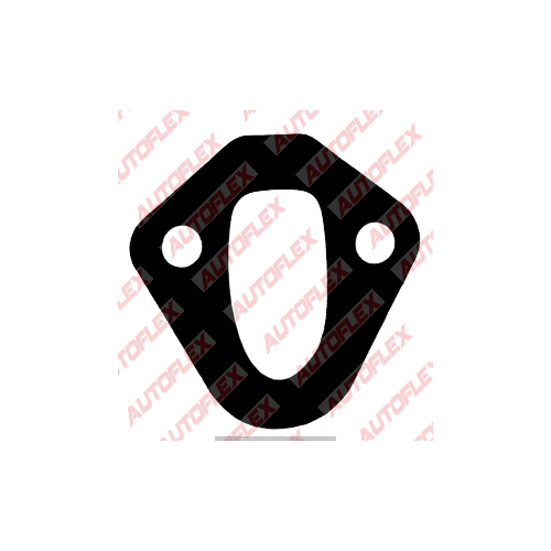 ProTorque  Ptq Fuel Pump Gasket    128651