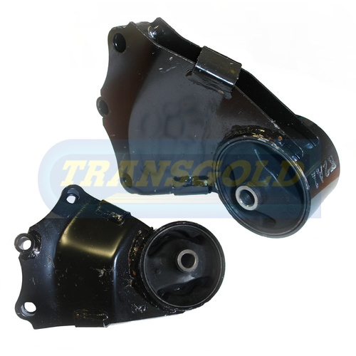 Transgold Rear Engine Mount - TEM1983