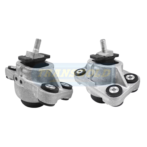 Transgold Front Engine Mount TEM3839