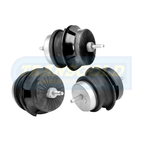 Transgold Right Engine Mount - TEM3848