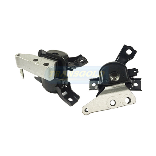 Transgold Right Engine Mount - TEM3969