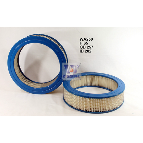 Wesfil Cooper Air Filter Wa250 A250