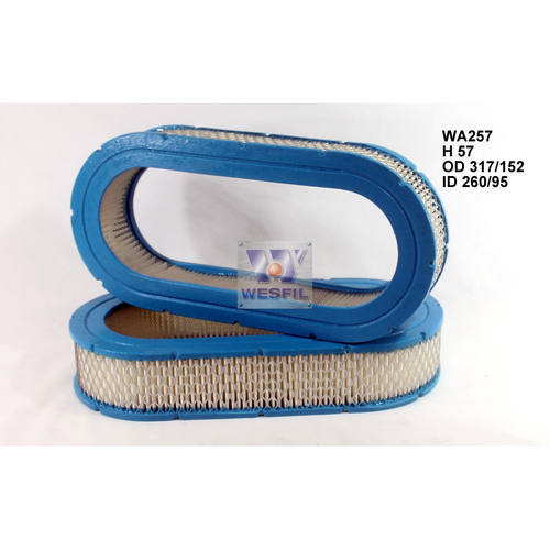Wesfil Cooper Air Filter - Wa257 A257