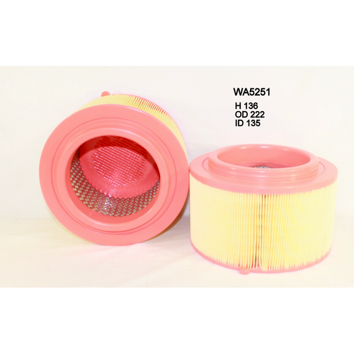 Wesfil Cooper Air Filter Wa5251 A1784