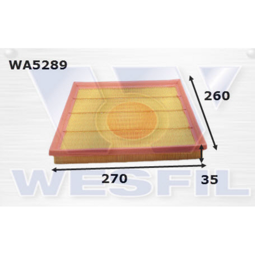 Wesfil Cooper Air Filter Wa5289 A1831